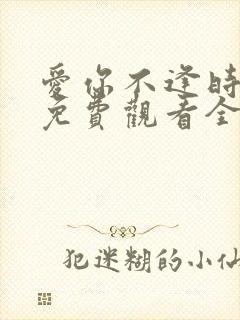 爱你不逢时短剧免费观看全集高清