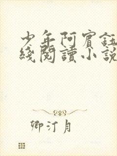 少年阿宾钰慧在线阅读小说