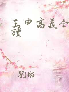 王申高义全集阅读
