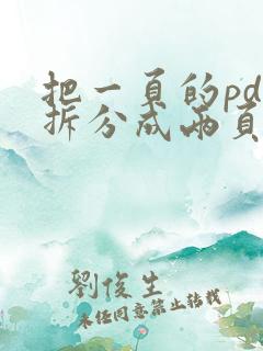 把一页的pdf拆分成两页