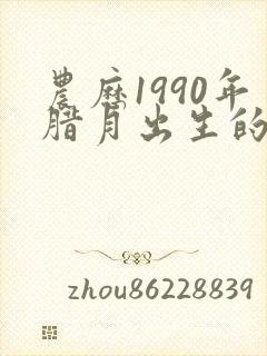 农历1990年腊月出生的命运