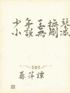 少年王抚琴的人小说无删减正版在线阅读
