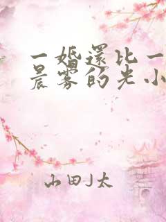 一婚还比一婚高晨雾的光小说