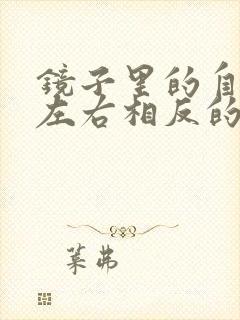 镜子里的自己是左右相反的吗