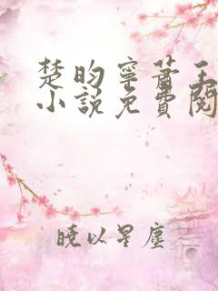 楚昀宁萧王穿越小说免费阅读无弹窗
