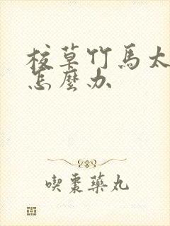 校草竹马太撩了怎么办