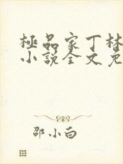 极品家丁林晚荣小说全文免费