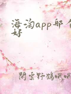 海淘app哪个好