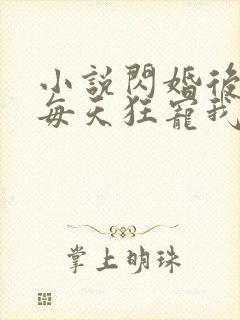 小说闪婚后大叔每天狂宠我