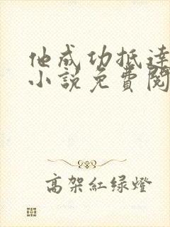 他成功抵达花心小说免费阅读全文