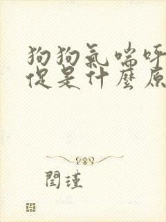 狗狗气喘呼吸急促是什么原因