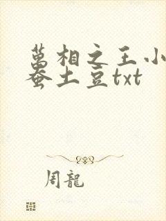 万相之王小说天蚕土豆txt