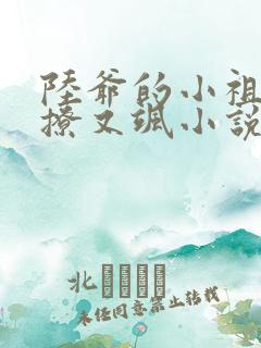 陆爷的小祖宗又撩又飒小说完整版