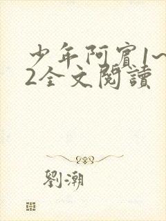 少年阿宾1~72全文阅读