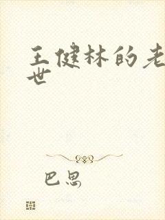 王健林的老婆身世