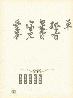 爱你是孤单的心事免费看