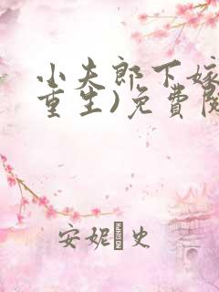 小夫郎下嫁后(重生)免费阅读
