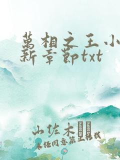 万相之王小说最新章节txt