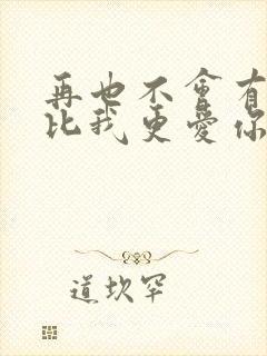 再也不会有人会比我更爱你吉他谱