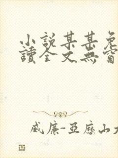 小说某某免费阅读全文无窗口