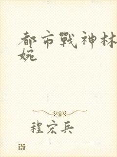 都市战神林北苏婉