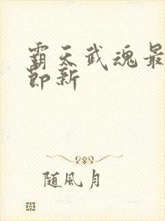 霸天武魂最新章节新