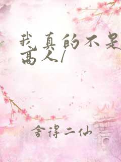我真的不是绝世高人/