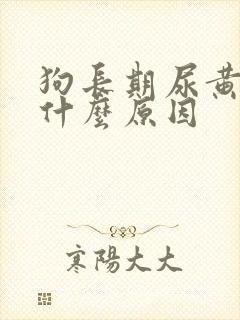 狗长期尿黄尿是什么原因
