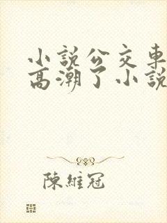 小说公交车被上高潮了小说