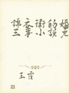 锦衣卫的婚后二三事小说免费阅读