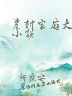 农村家庭大杂烩小说