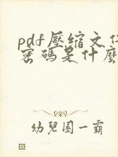 pdf压缩文件密码是什么