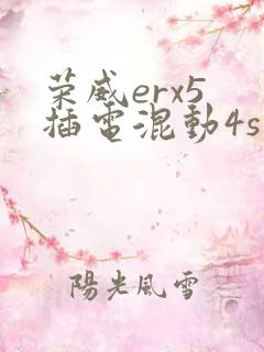 荣威erx5 插电混动4s店报价