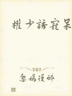权少诱宠呆萌妻