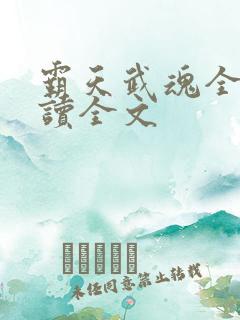 霸天武魂全文阅读全文