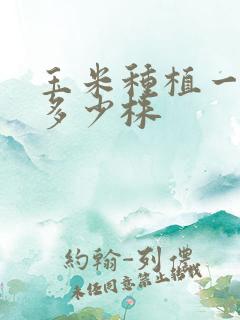 玉米种植一亩地多少株