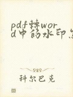 pdf转word中的水印怎么去除