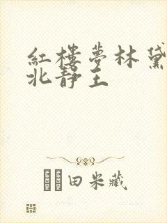 红楼梦林黛玉与北静王