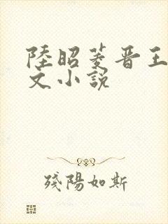 陆昭菱晋王的全文小说