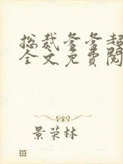 总裁爹爹超给力全文免费阅读