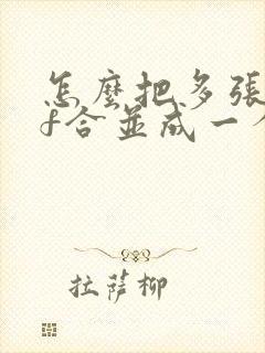 怎么把多张pdf合并成一个