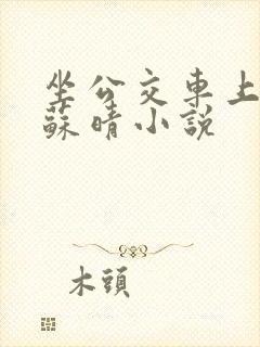 坐公交车上班的苏晴小说