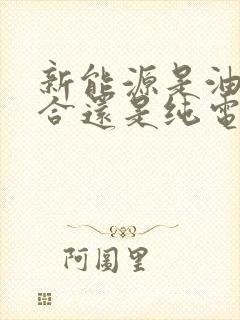 新能源是油电混合还是纯电