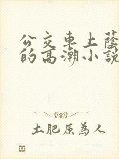 公交车上荫蒂添的高潮小说