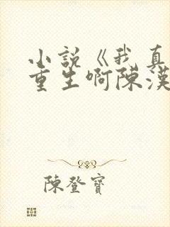小说《我真没想重生啊陈汉升》