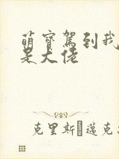 萌宝驾到我妈咪是大佬