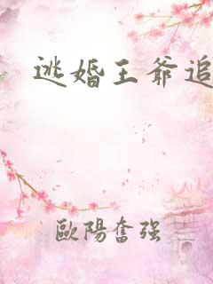 逃婚王爷追逃妃