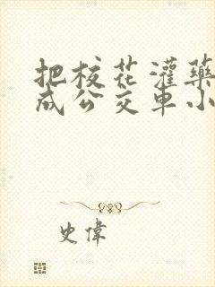 把校花灌药调教成公交车小说