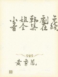 小姐韩剧免费观看全集在线高清
