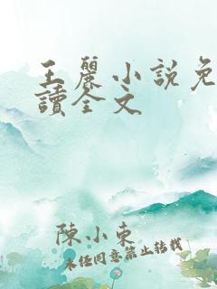 王丽小说免费阅读全文